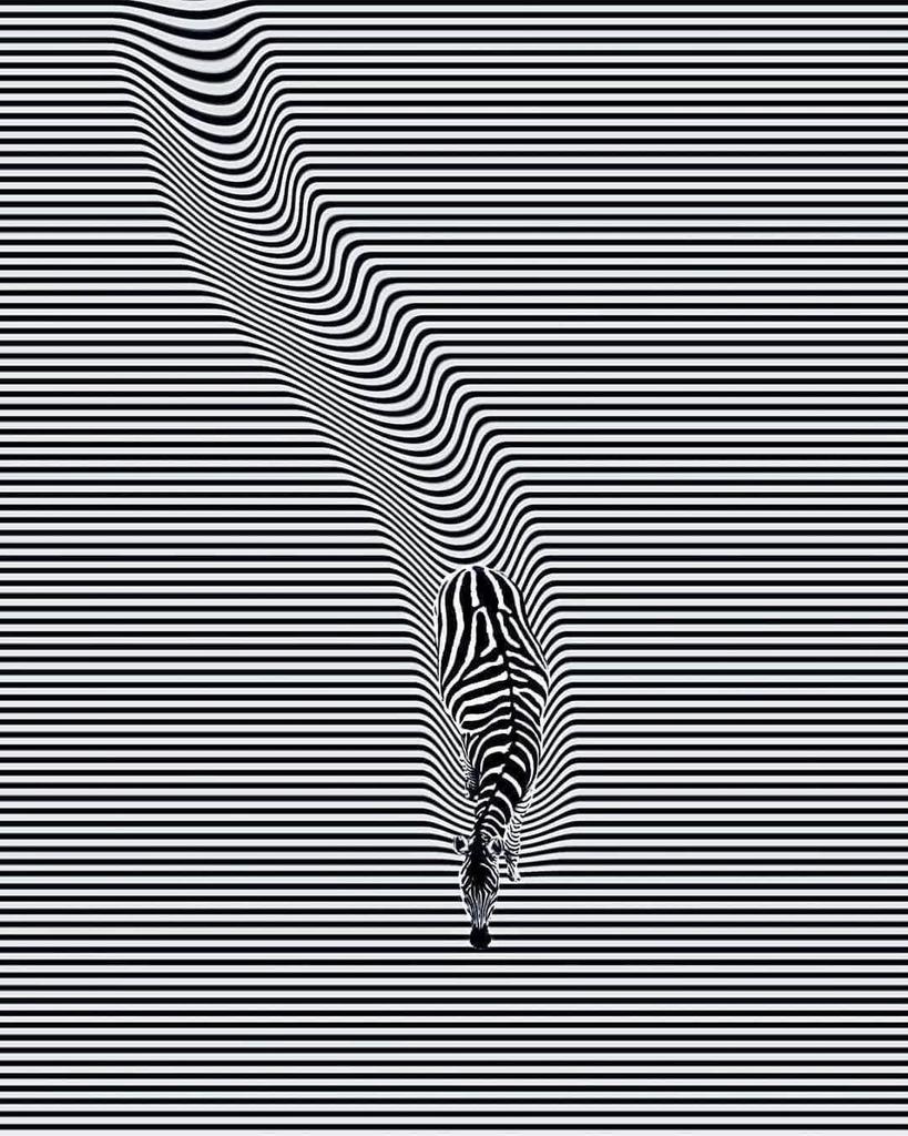152731201_3632321820220445_2432078429711656974_o.jpg