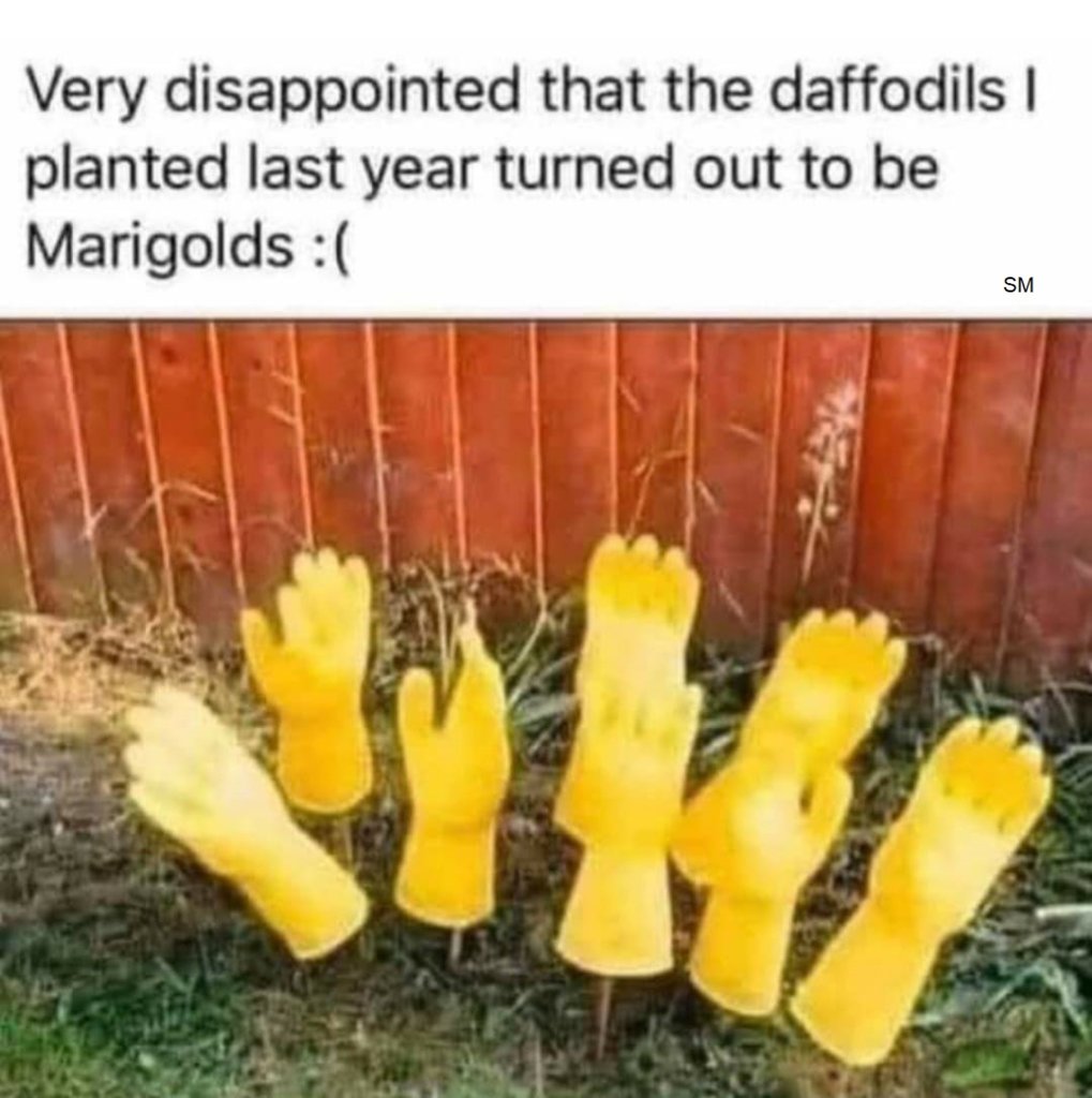 153149508_892631744641706_2973654901208231213_o.jpg