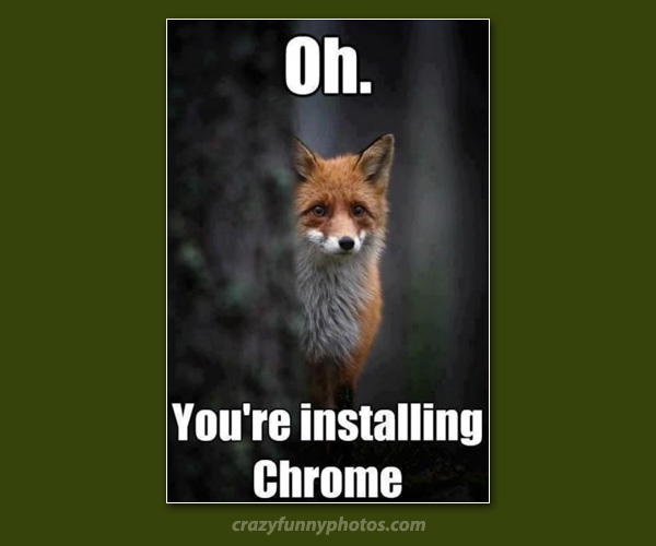 1555353486959.png
