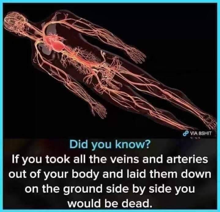 1557777599342.jpg