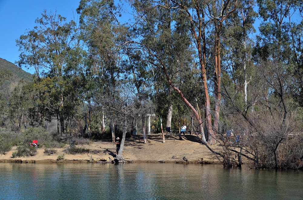 15th Feb 2015 023.JPG