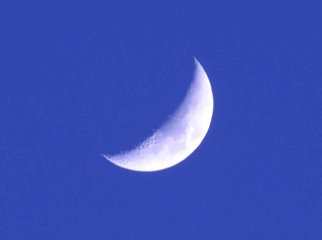 15th May 2013 031.jpg