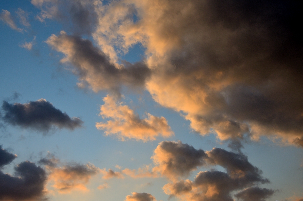 15th May 2015 136.JPG