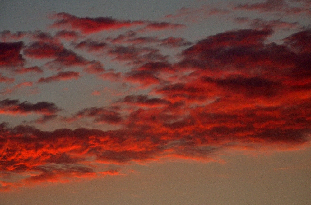 15th Sept 2014 061.JPG