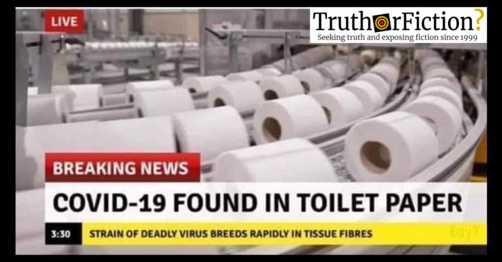 16-32-32-covid19_in_toilet_paper_covid_19_coronavirus.jpg