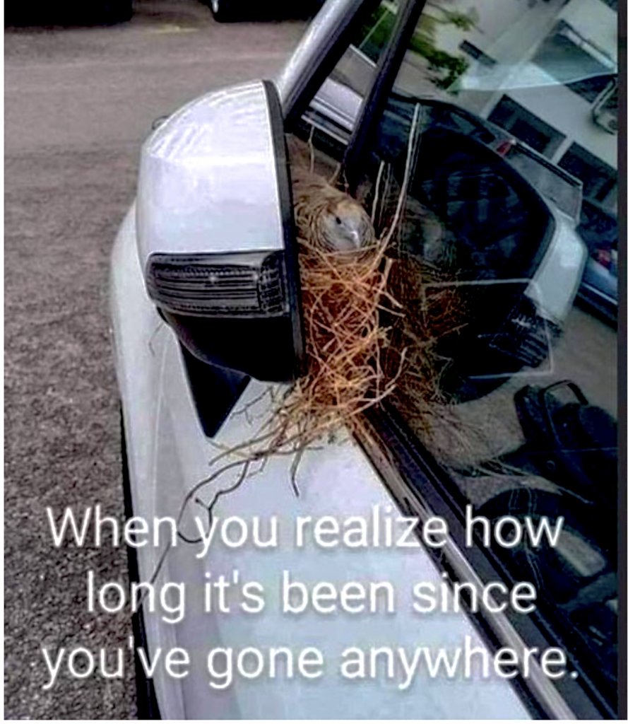 1634022553148.jpeg
