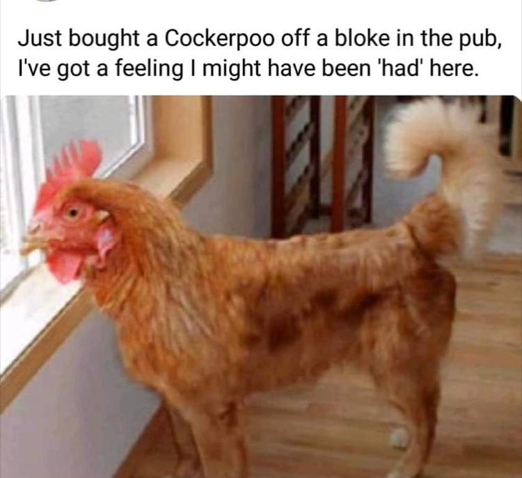 1635328024077.jpeg