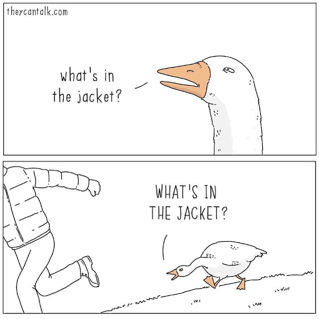 1671227891058.png