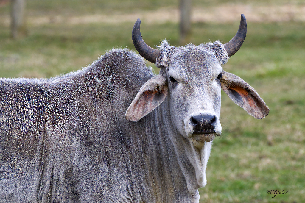 1678320236307.png 1678320236307.png