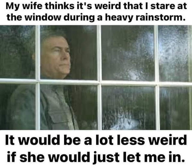 1681516059118.png