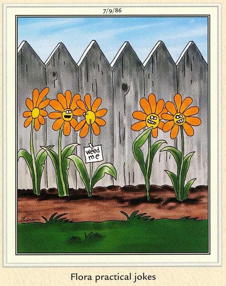 168299209_3716652708452908_8050661044760853816_n.jpg