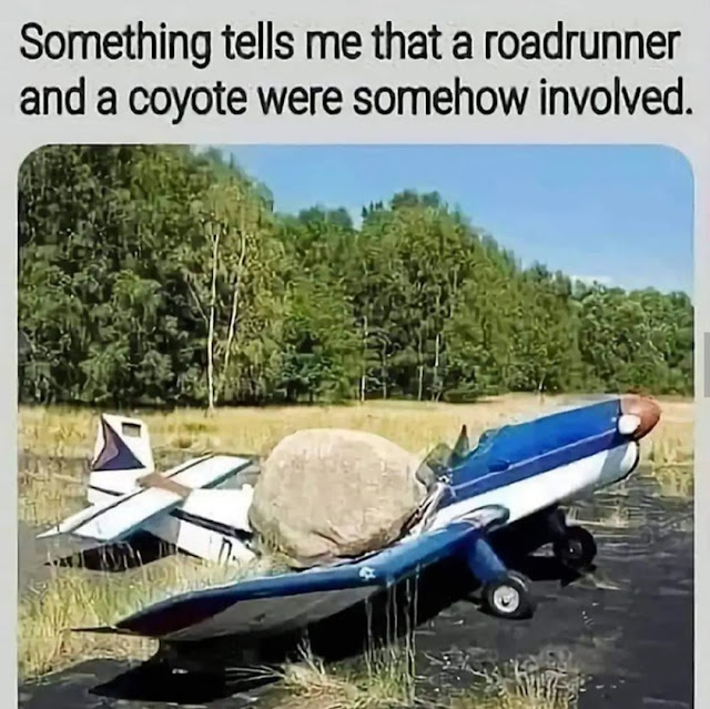 1695249478417.jpeg