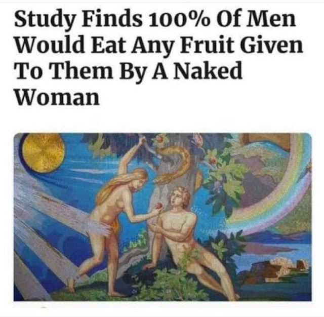 1697229138080.png