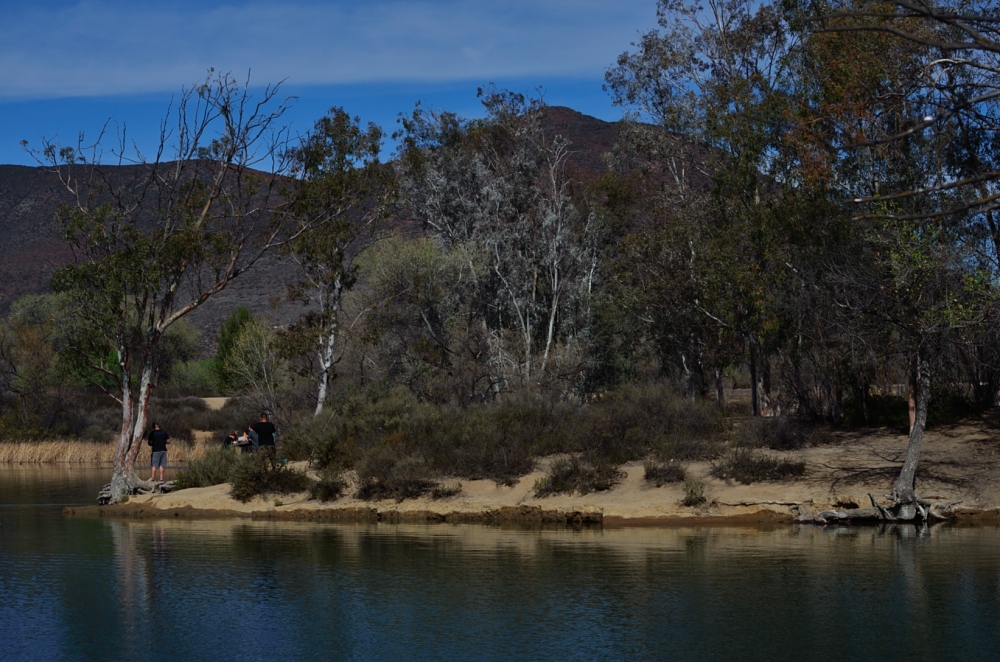 16th Feb 2014 065.JPG