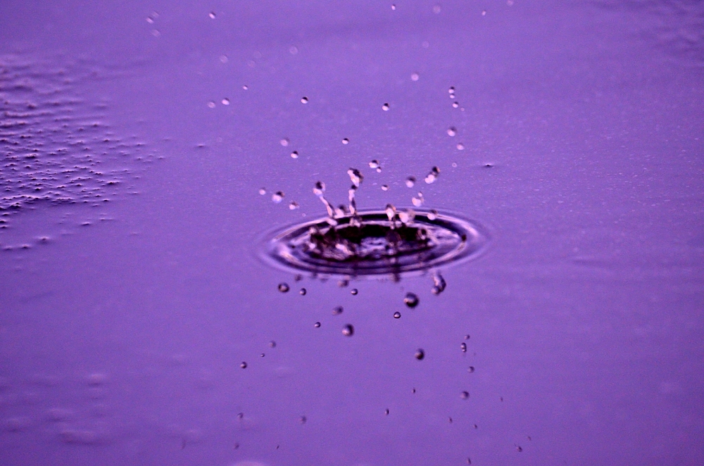 16th  July 2014 023.JPG