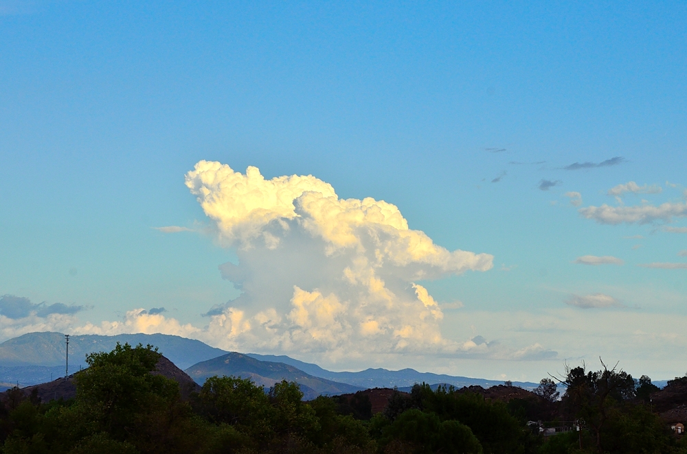 16th Sept 2014 003.JPG