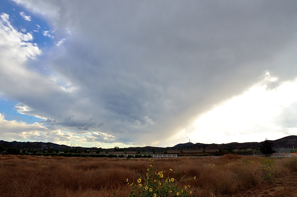 16th Sept 2014 009.JPG