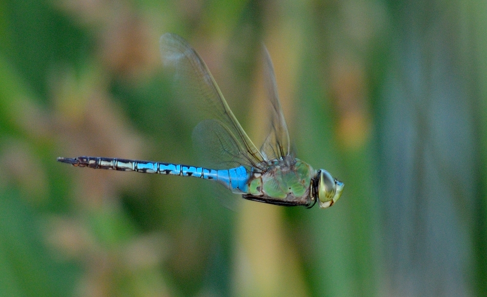 16th Sept 2015 003.JPG