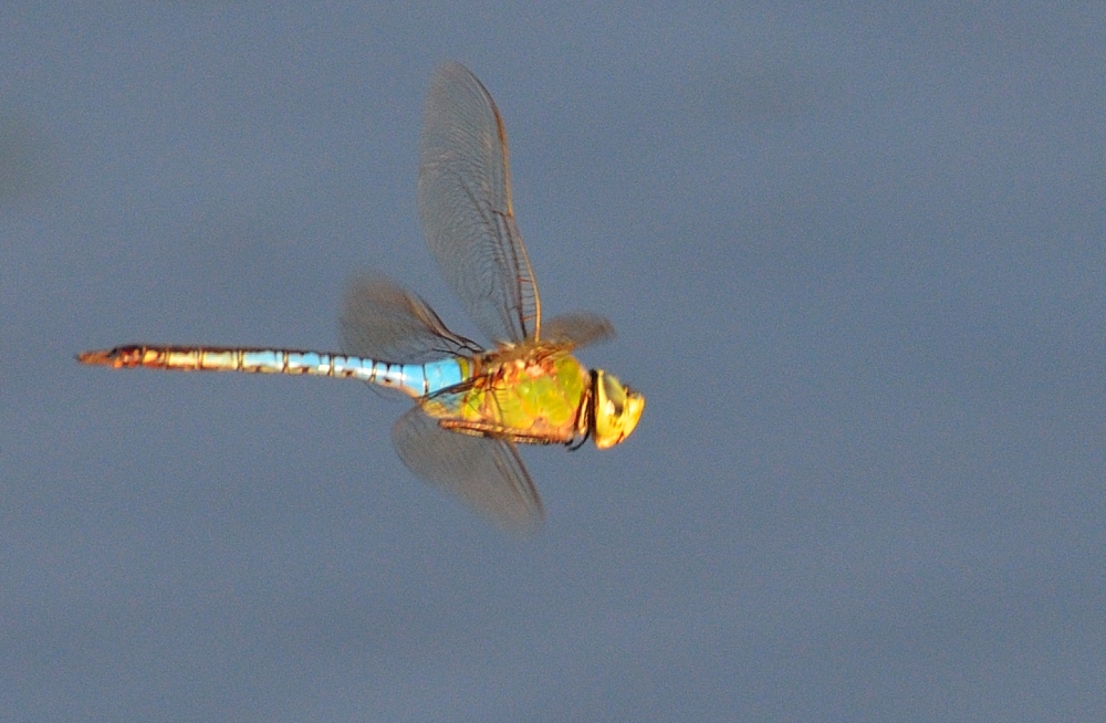 16th Sept 2015 014.JPG