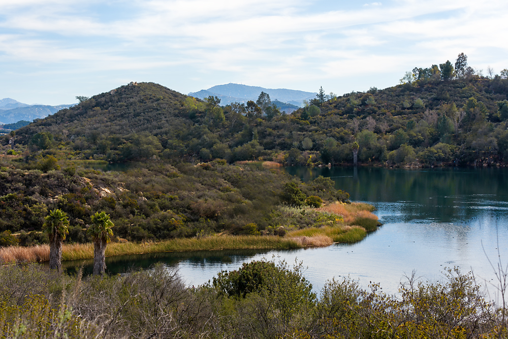 17 January 2016 - Dixon Lake.jpg