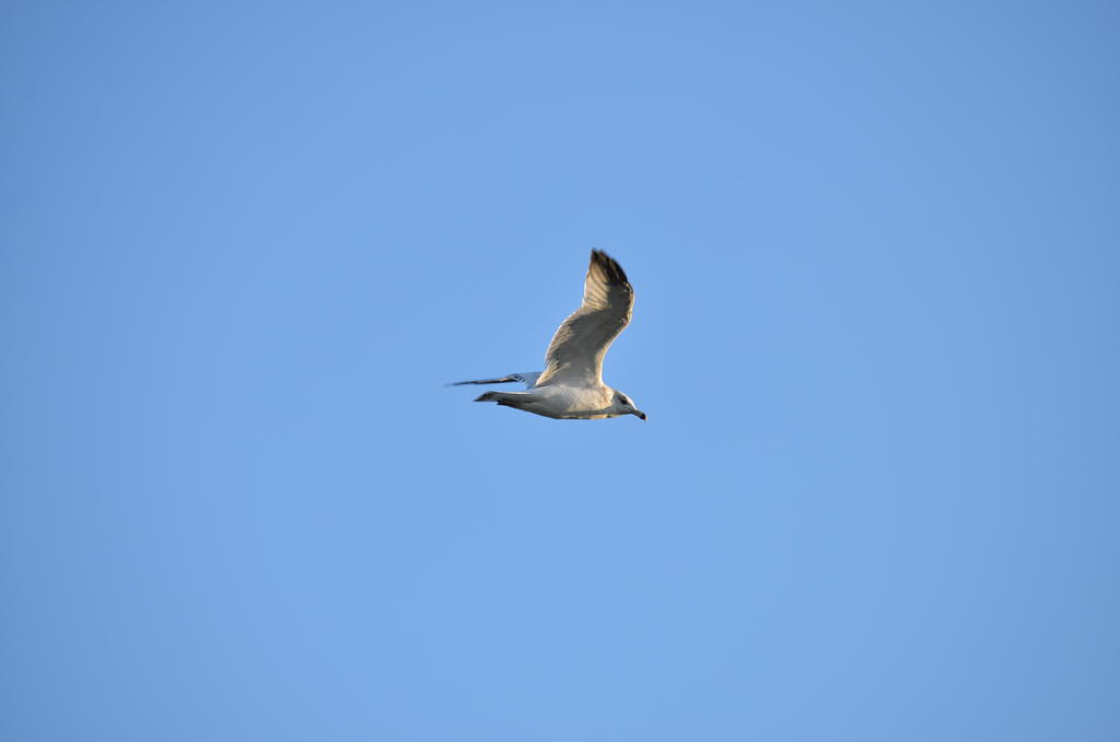 17th August 2013-1 044.jpg