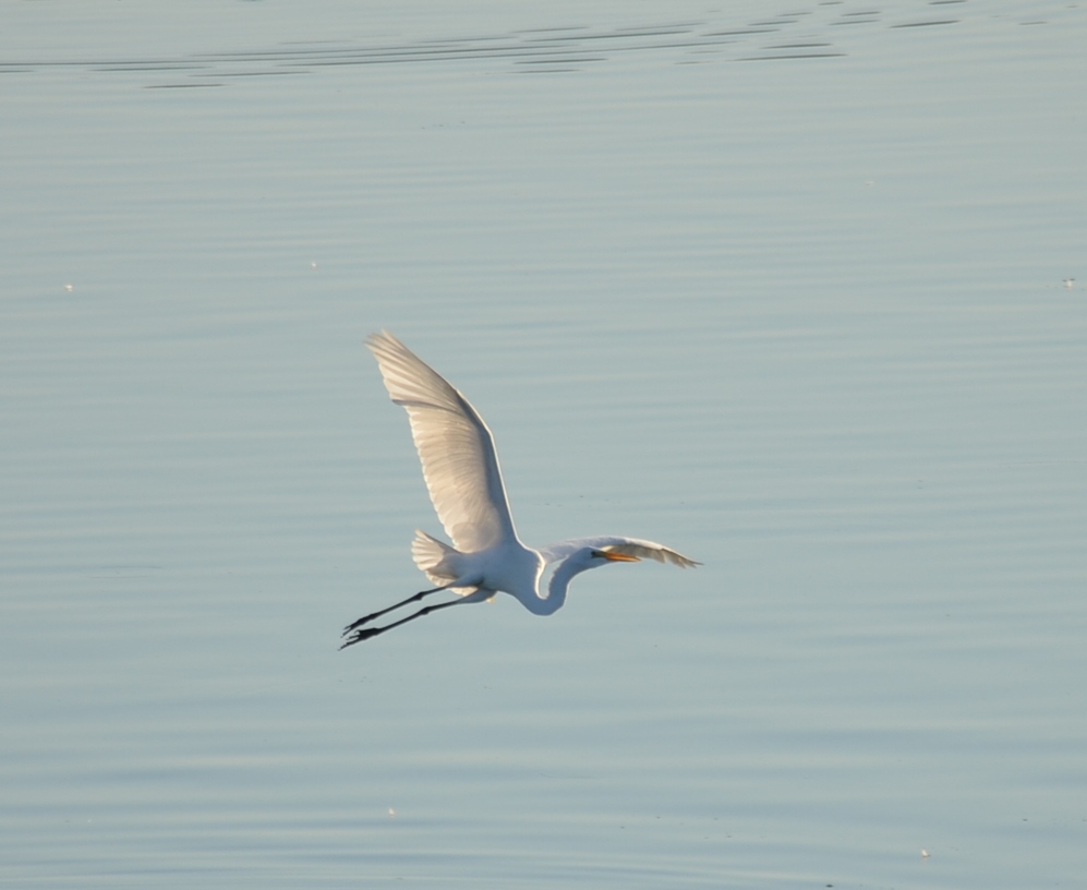 17th August 2013-1 098.JPG