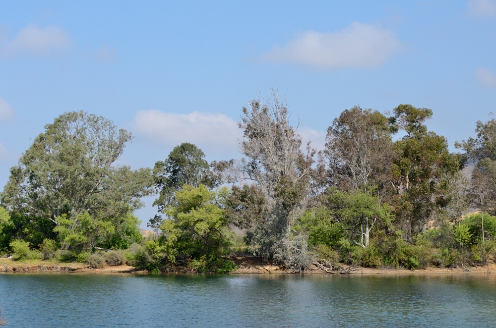 17th May 2015 051.JPG
