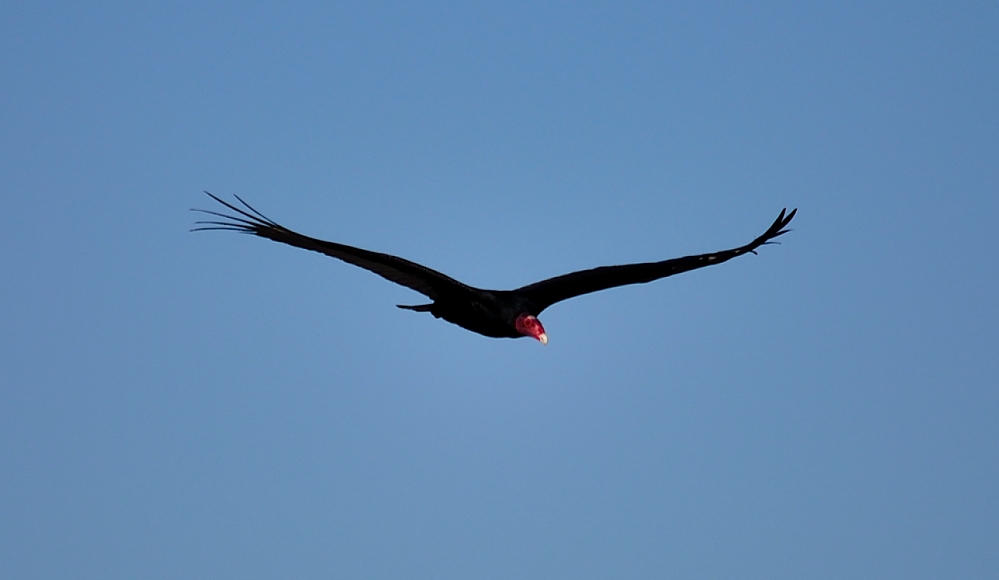 18 -19th Mar 2014 031.JPG