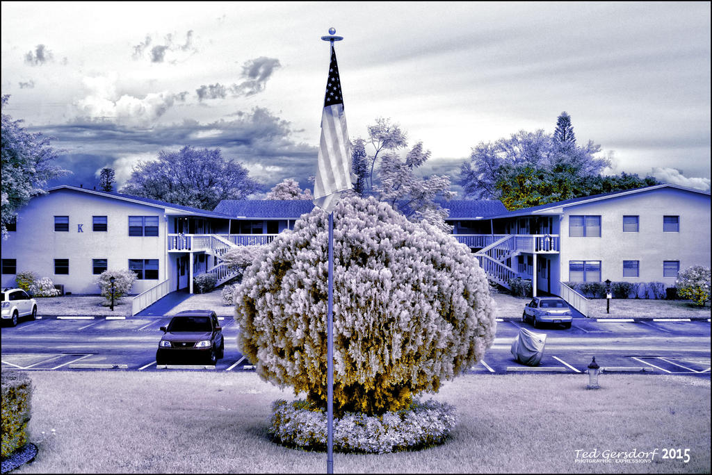 18-55 F16 Gray Card .jpg 18-55 F16 Gray Card .jpg