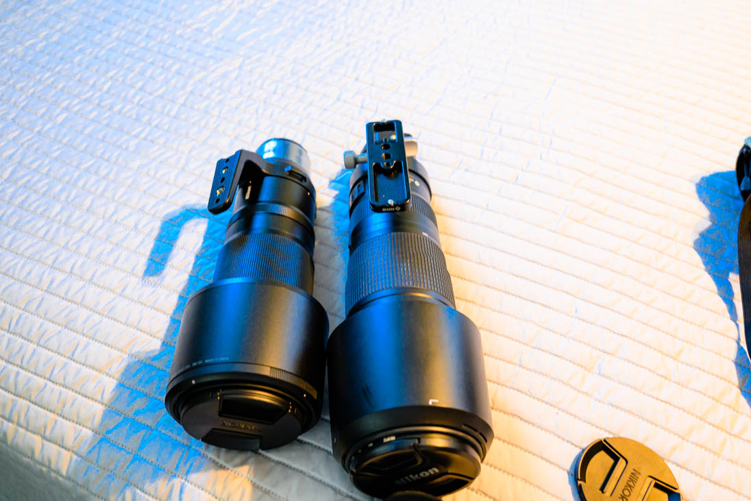 180-600 Z lens vs 200-500 G-1784.jpg