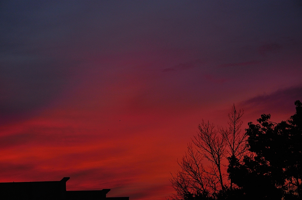 18th Feb 2015 019.JPG