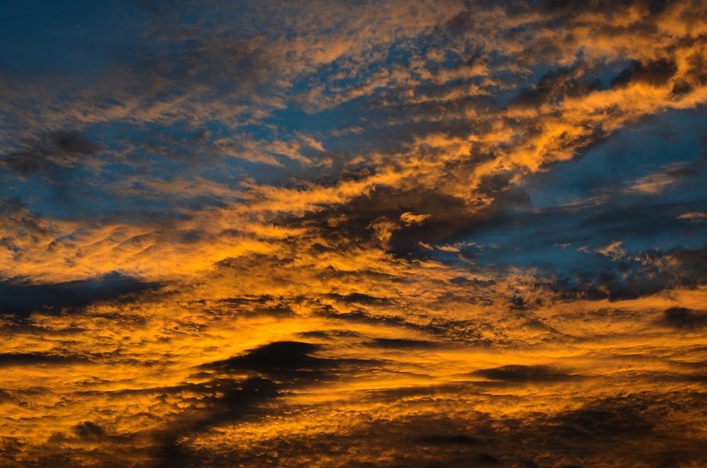18th July 2015 009.JPG