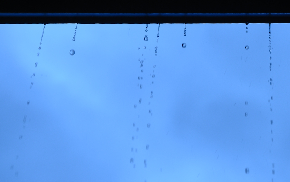 18th July 2015 048.JPG