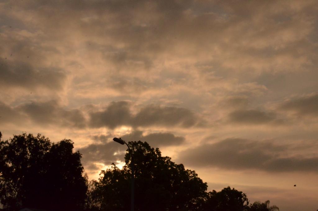 18th May 2013 014.jpg