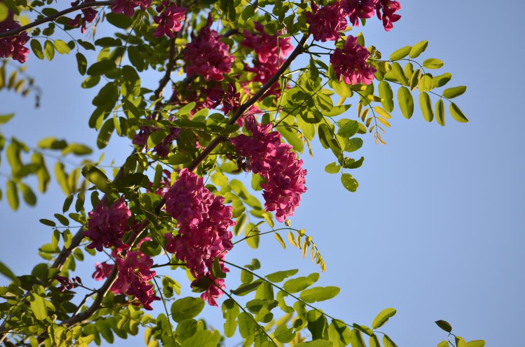 18th May 2013 095.jpg