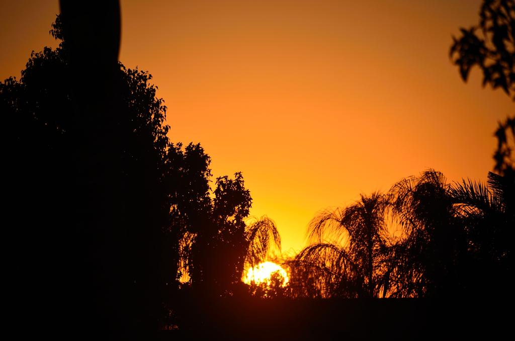 18th Oct 2013 056.jpg