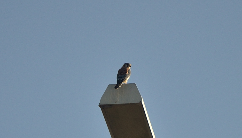 18th Oct 2014 033.JPG