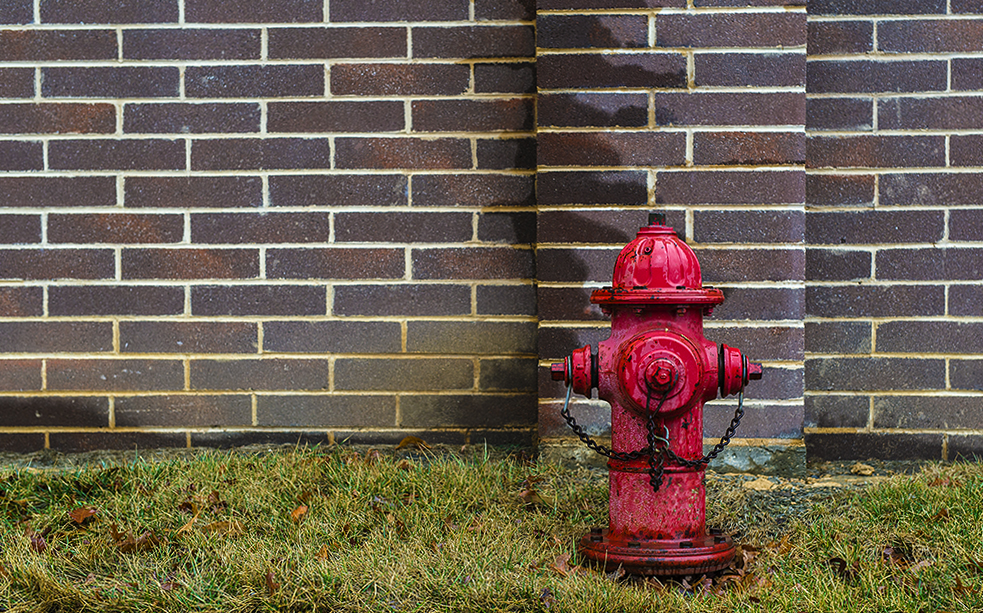 19 March 2015 - Hydrant.jpg