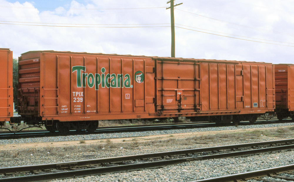 1987-03-08 REEFER TPIX Wildwood FL - for upload.jpg