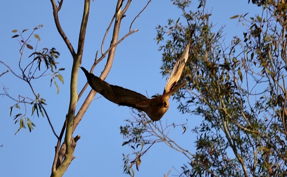 19th Apr 2014 013.JPG