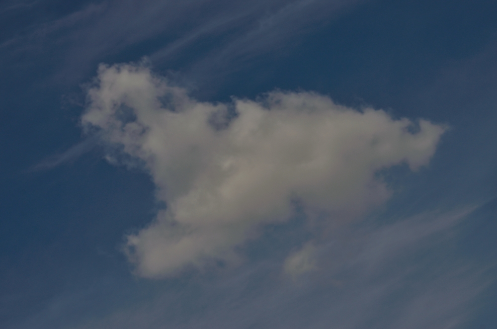 19th Apr 2014 069.JPG