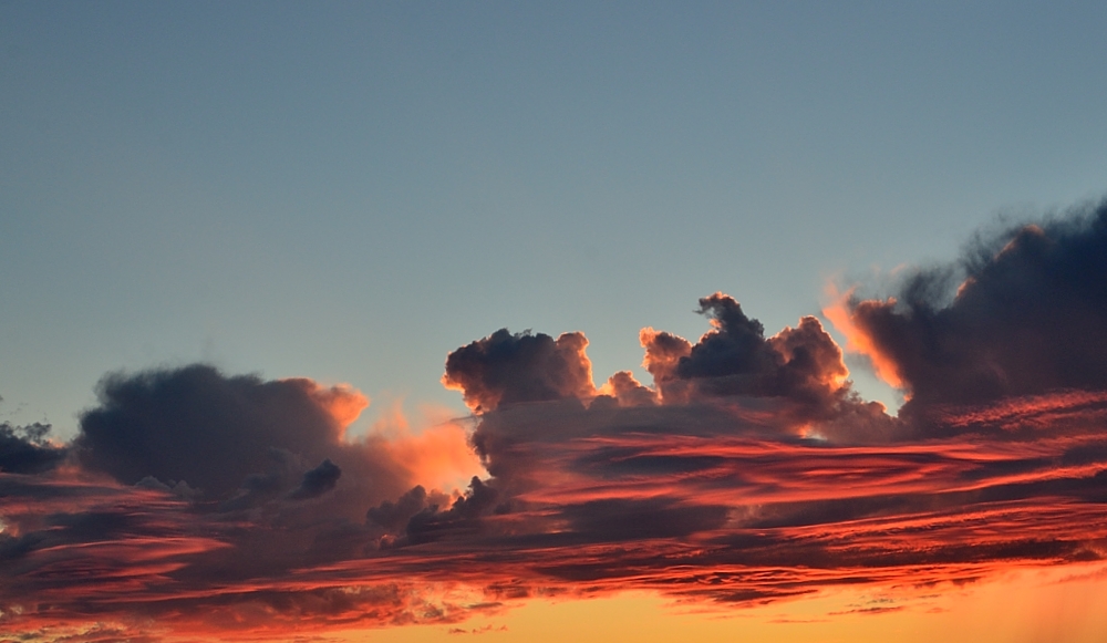 19th Aug 2014 021.JPG