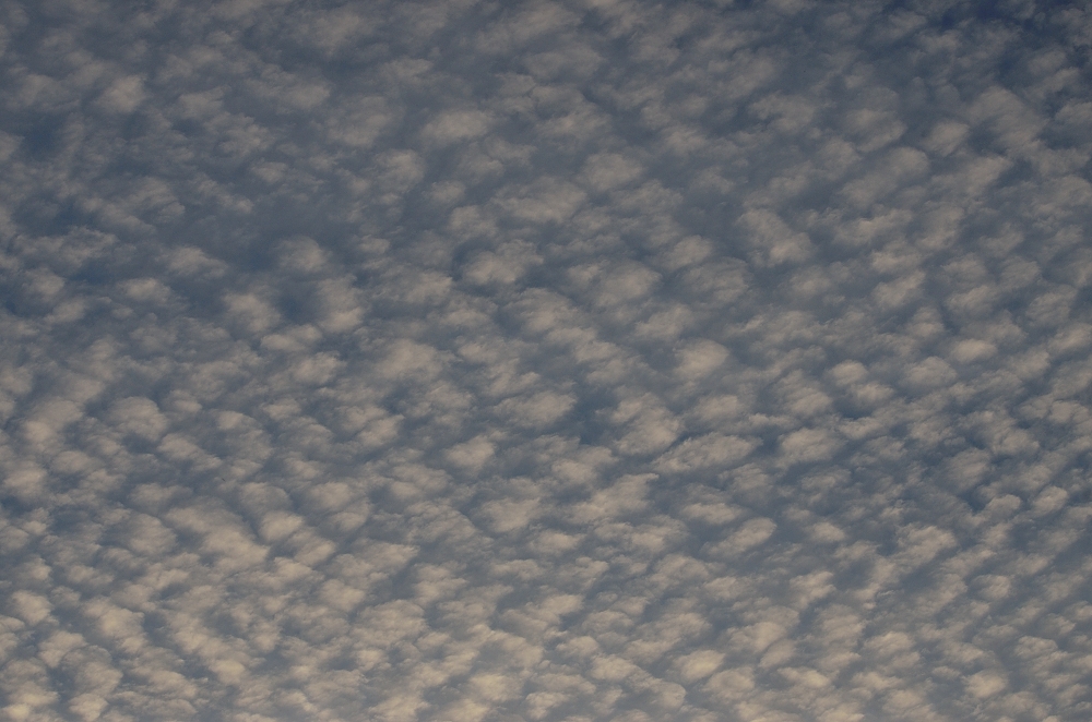 19th Feb 2015 012.JPG