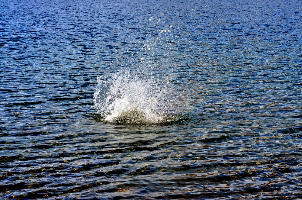 19th Jan 2014 090.JPG