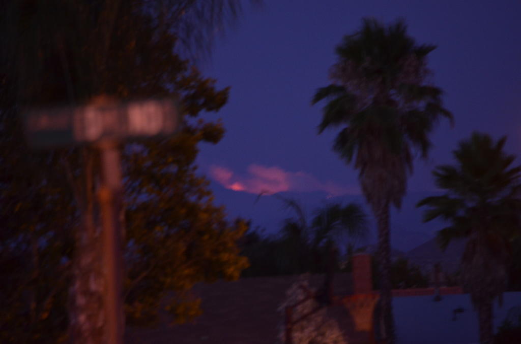 19th July 2013 007.jpg