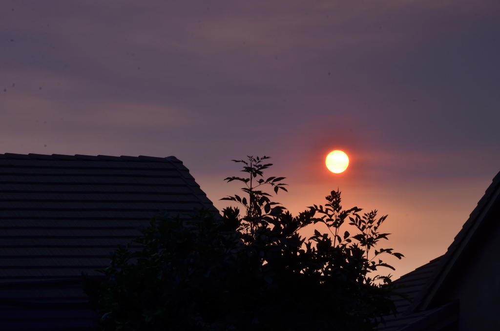 19th July 2013 020.jpg