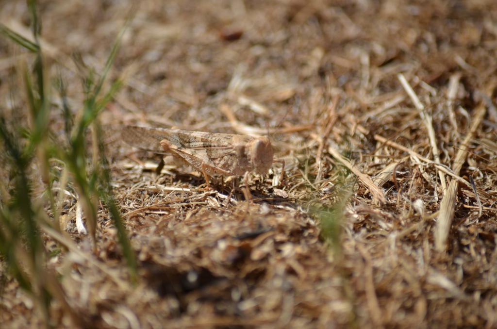 19th May 2013 009.jpg