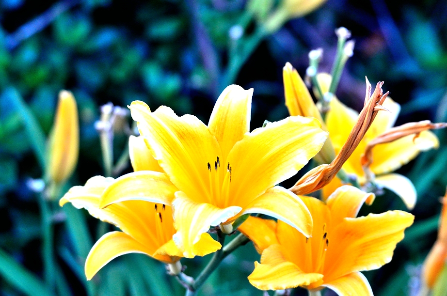 19th May 2014 015.JPG
