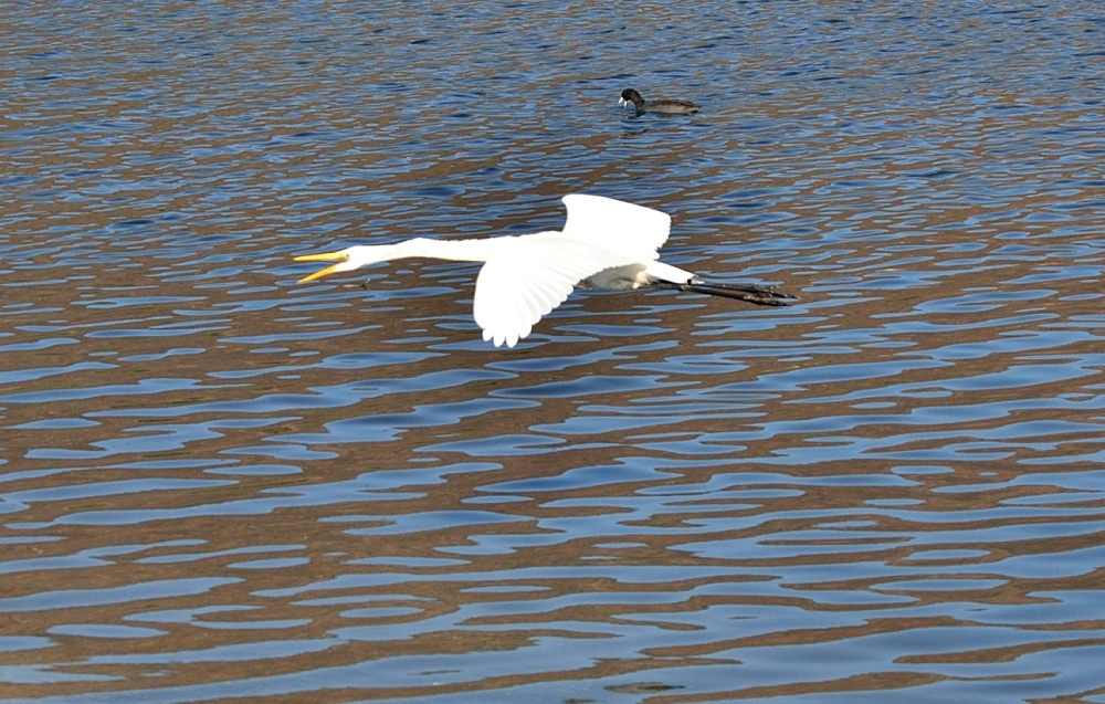 19th Oct 2014 081.JPG