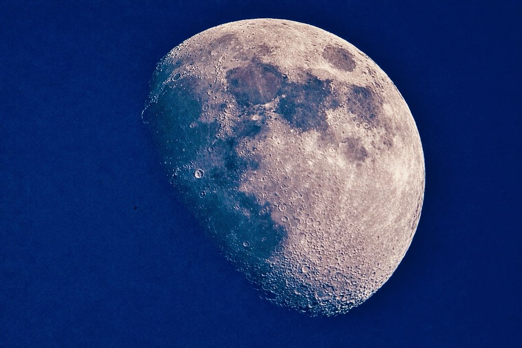1C1AD296-1.jpg
